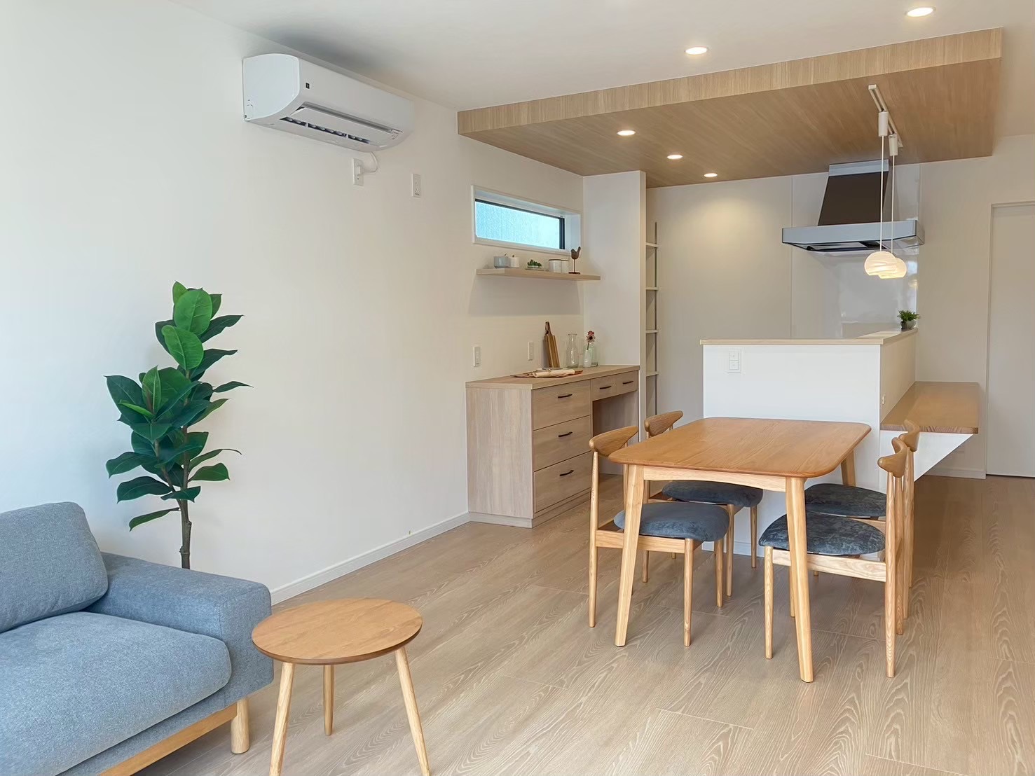 板野郡藍住町勝瑞 「平屋」3LDKモデルハウス