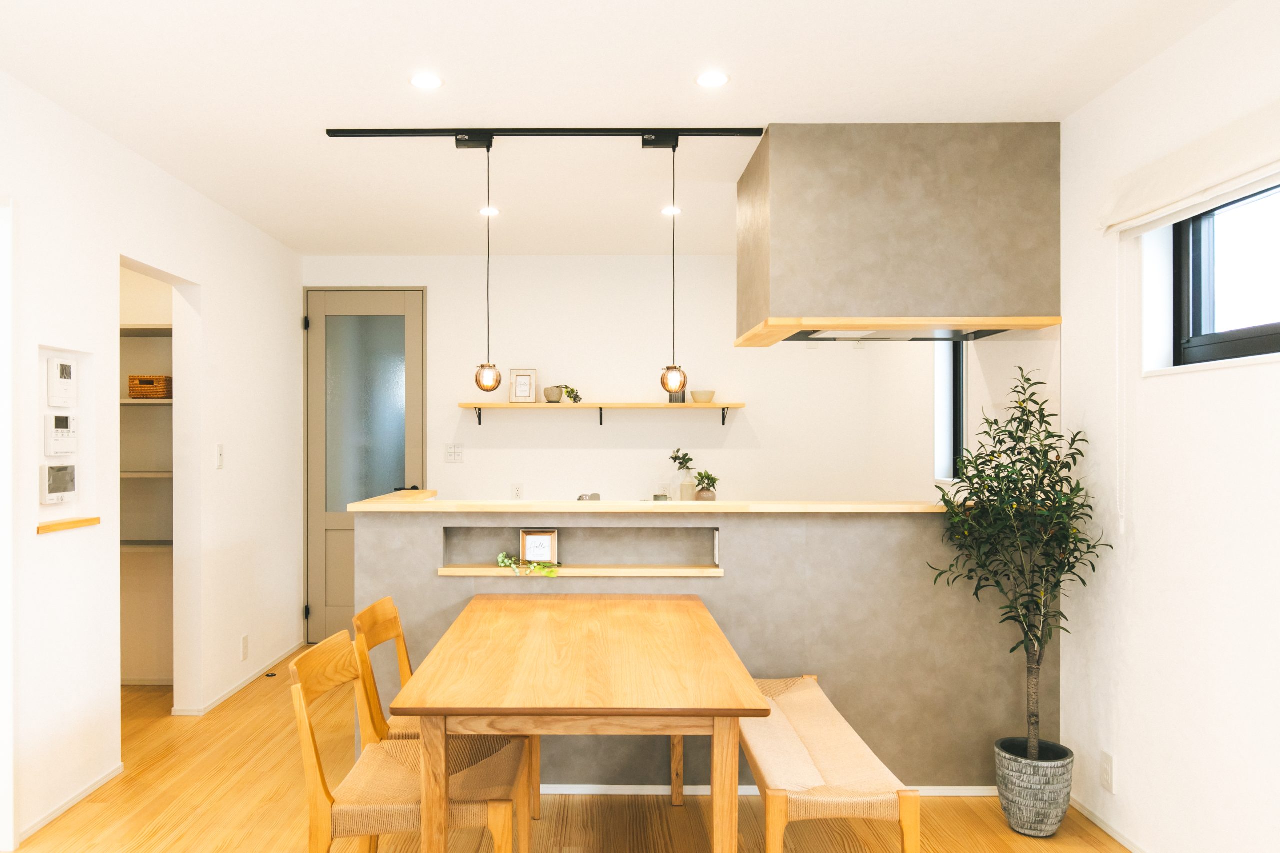 松山市小坂「平屋」2LDKモデルハウス